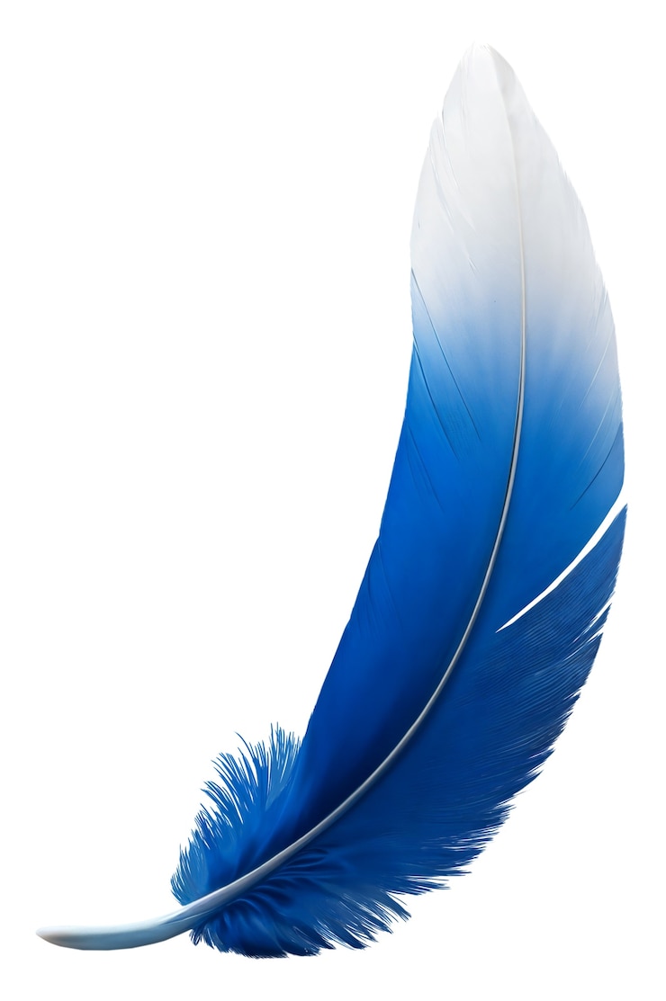 Free PSD delicate feather isolated