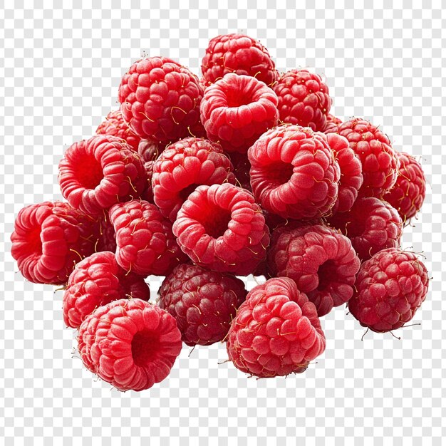 A Delicious Pile of Fresh Raspberries