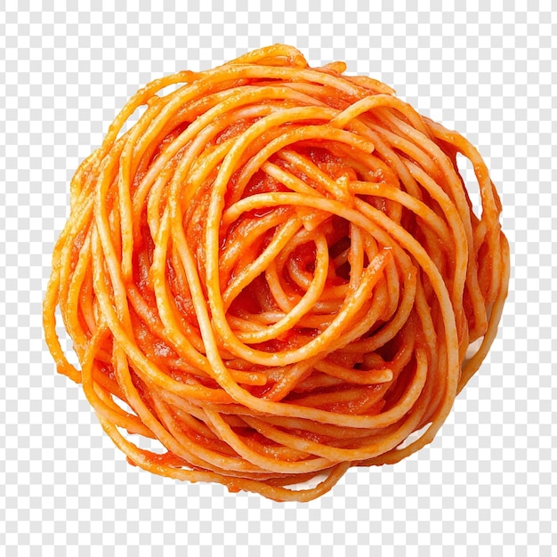 a delicious plate of spaghetti with tomato sauce