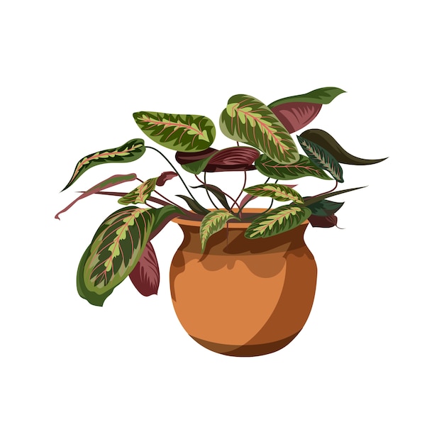 Free PSD detailed plant isolated