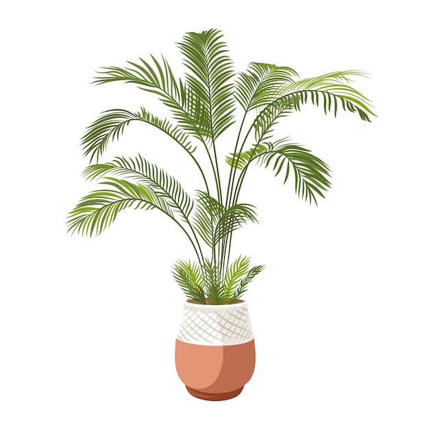 Free PSD detailed plant isolated