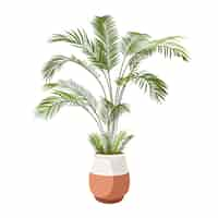 Free PSD detailed plant isolated