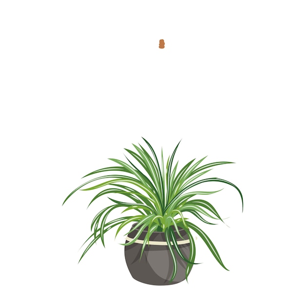 Detailed plant isolated