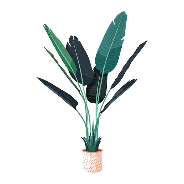 Free PSD detailed plant isolated