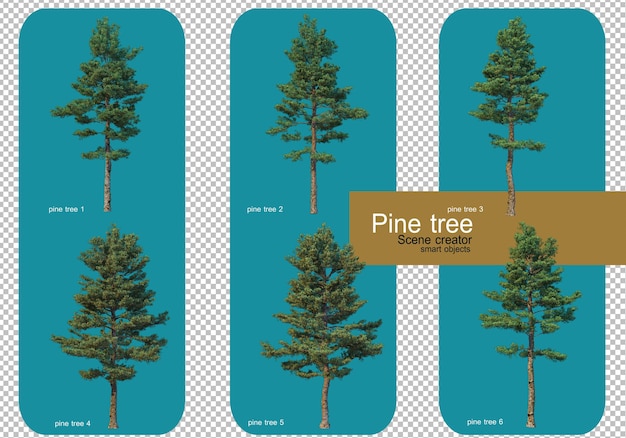 다양한 패턴의 소나무 표시