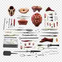 Free PSD dissecting isolated on transparent background