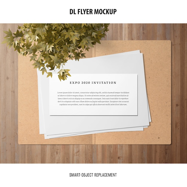 Бесплатный PSD dl flyer mockup