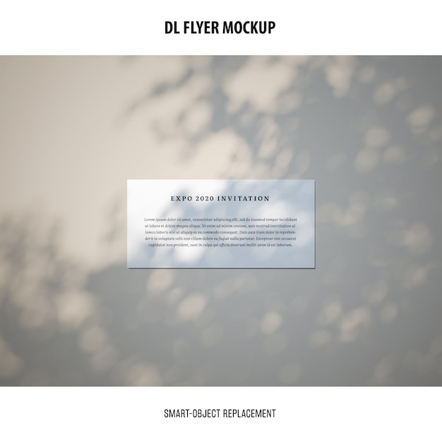 DL Flyer Mockup Free PSD Download