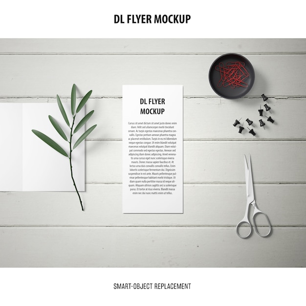 DL Flyer Mockup – Free PSD Download