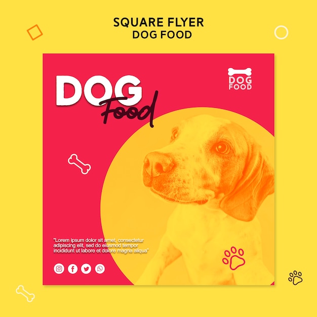 Dog food square flyer template