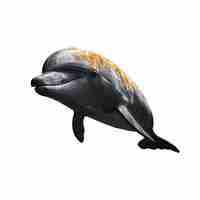 Free PSD dolphin isolated figure