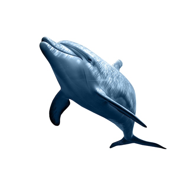 PSD gratuito figura isolata di delfino