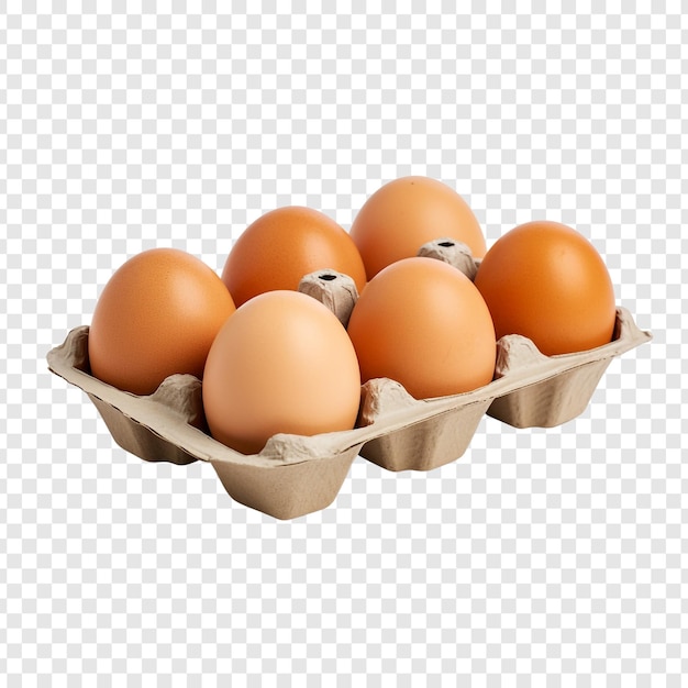 Free PSD egg carton isolated on transparent background