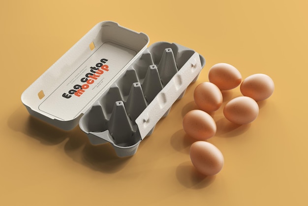 계란 카톤 모형