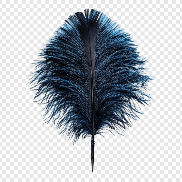 Free PSD elegant dark blue ostrich feather