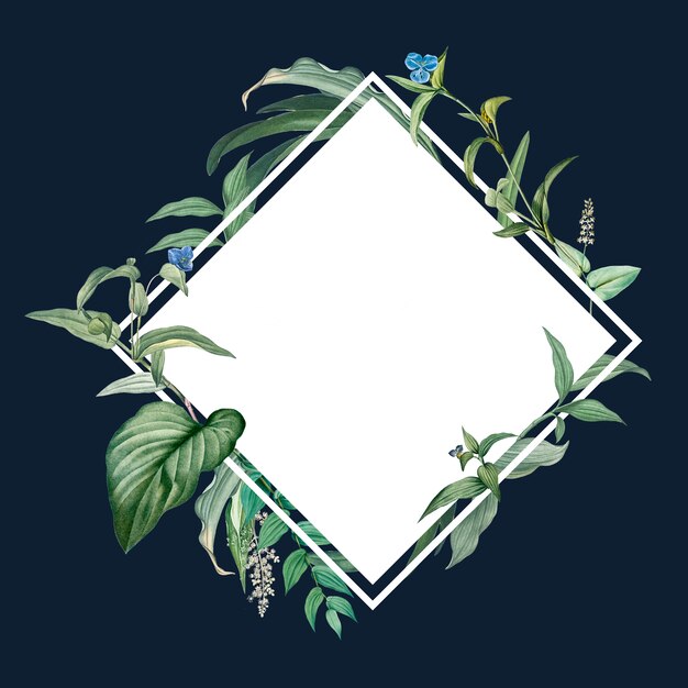 Empty frame with green leaves design