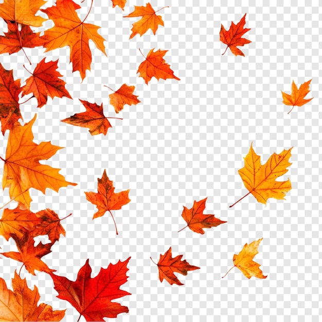falling autumn leaves a vibrant seasonal design