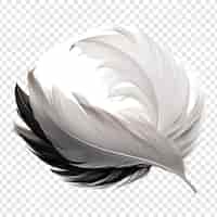 Free PSD feathers adorn a fashionable isolated on transparent background