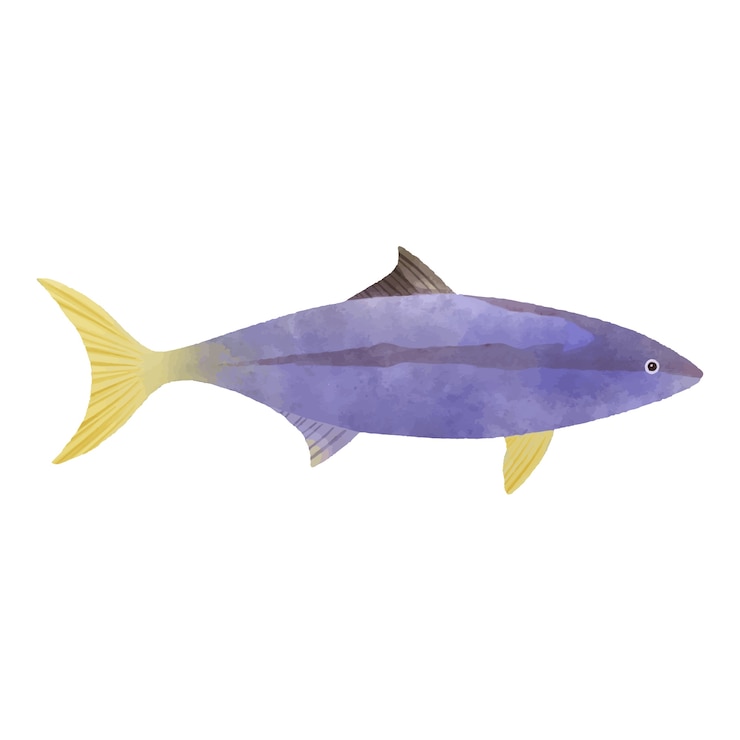 Бесплатный PSD fish seafood illustration design