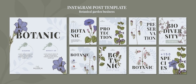 Free PSD flat design botanical garden template