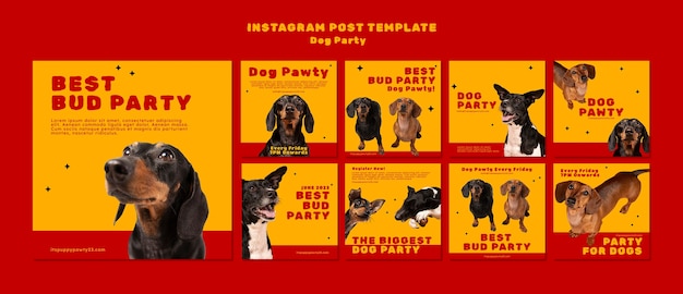 Free PSD flat design dog party instagram posts