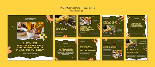 Free PSD flat design gardening instagram posts template