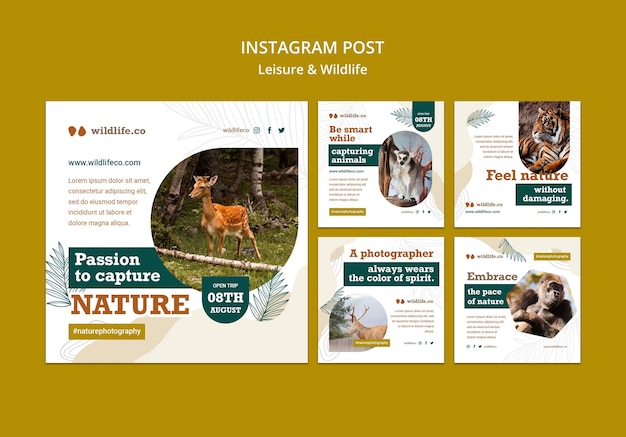 Flat design leisure and wildlife template