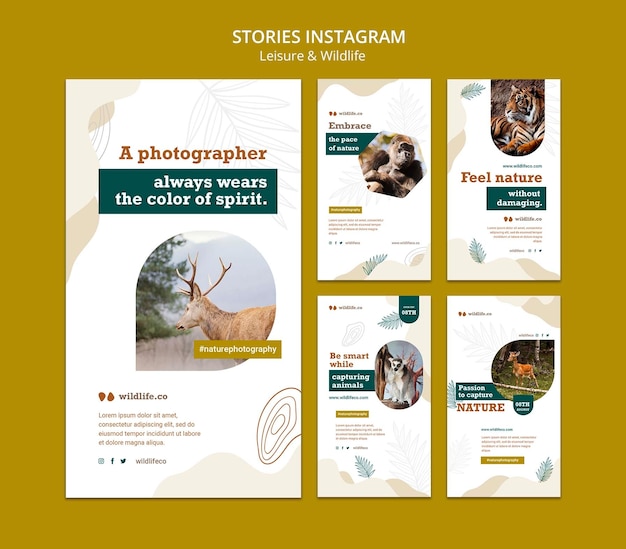 flat design leisure and wildlife template