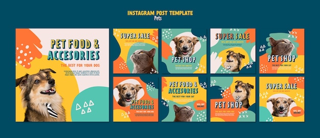 PSD gratuito modello per la cura degli animali domestici dal design piatto