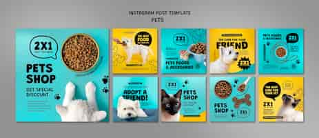 PSD gratuito modello per animali domestici dal design piatto