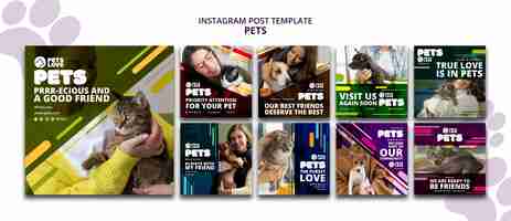 PSD gratuito post di instagram per la cura degli animali domestici dal design piatto