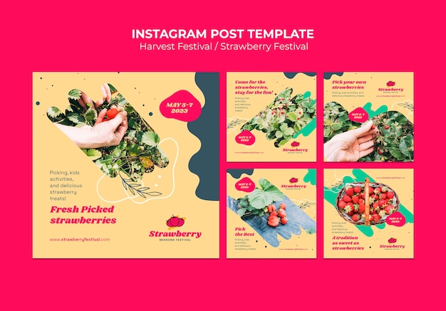 Flat design strawberries festival instagram post template