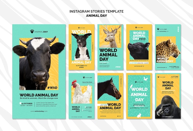 Modello di instagram per la giornata mondiale degli animali dal design piatto