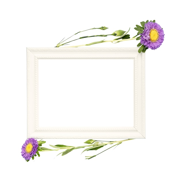 floral arrangement isolated on white background