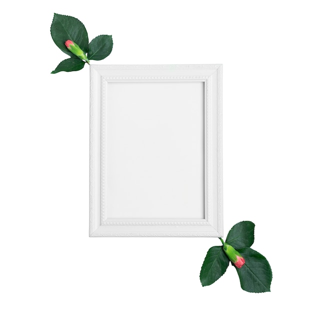 floral arrangement isolated on white background