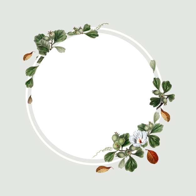 Free PSD floral frame design