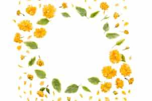 Free PSD flower frame isolated