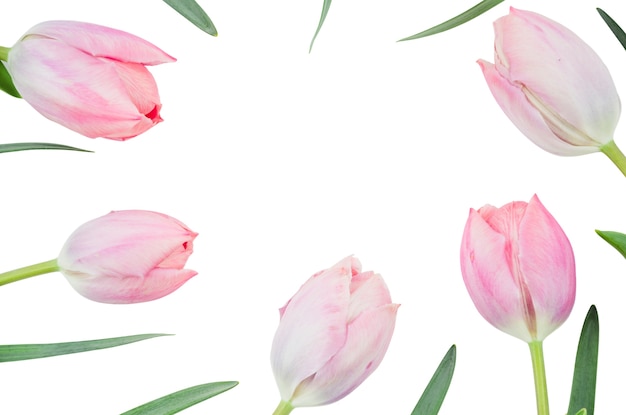 Free PSD flower frame isolated