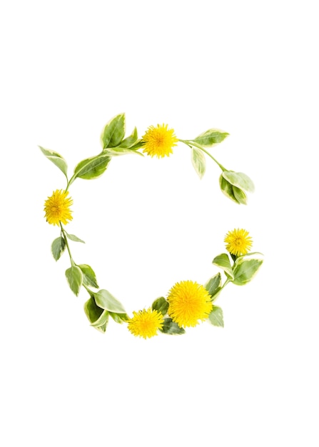 Free PSD flower frame isolated