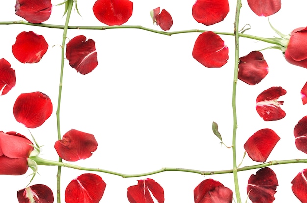 Flower frame isolated