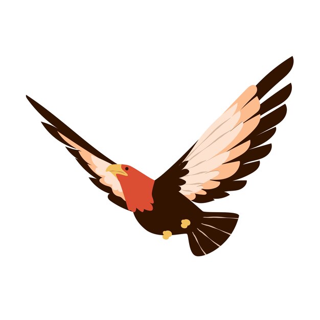 flying bird illustration
