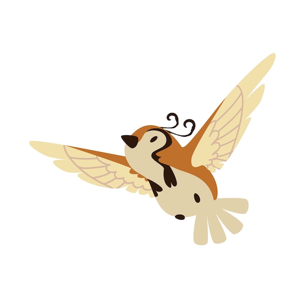 flying bird isolated