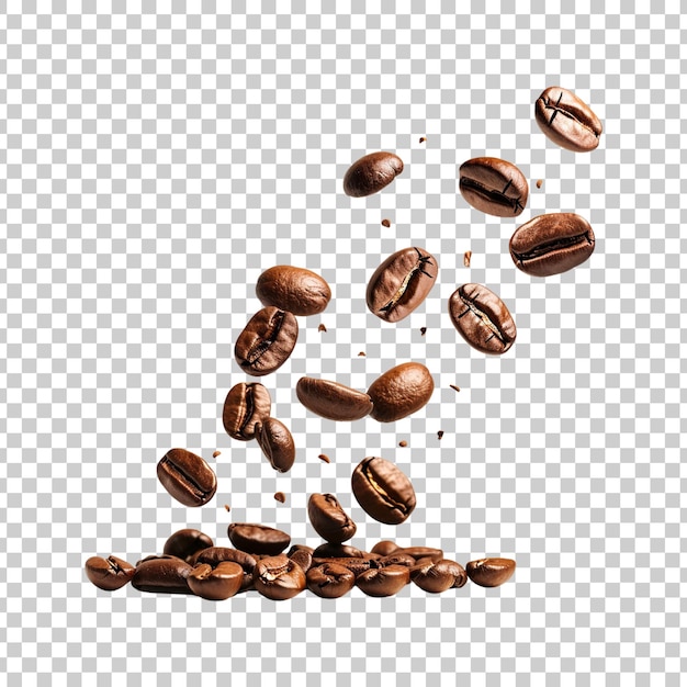Fagioli di caffè freschi che volano e cadono su uno sfondo trasparente