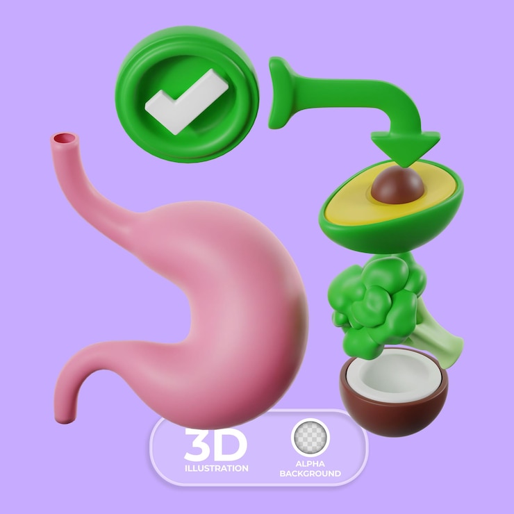 Бесплатный PSD продукты, улучшающие здоровье желудка 3d иллюстрация