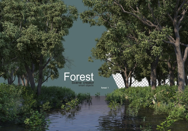 다양한 종류의 나무가있는 숲