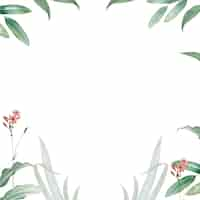 Free PSD frame of green leaves design