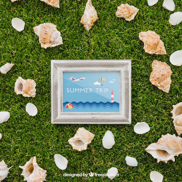 Free PSD frame and shells on grass