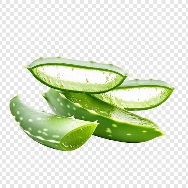 신선 한 알로에 베라 슬라이스 자연 의 치유 식물