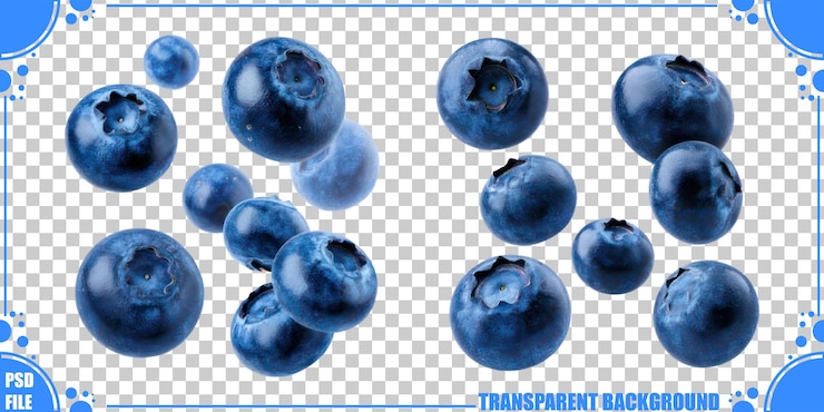 Free PSD fresh blueberries on transparent background for design