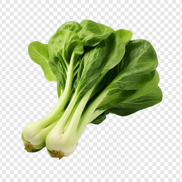 Free PSD fresh bok choy isolated on transparent background